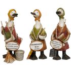 Complete Set Mrs Mop Message Ducks - Davids - Kitchen Cleaner - Ornaments Gift
